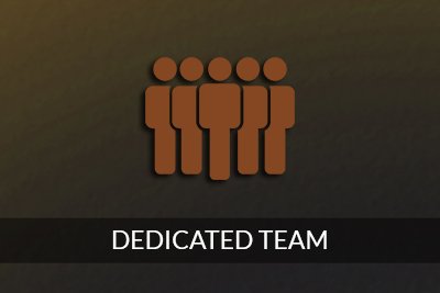 Dedicated Team