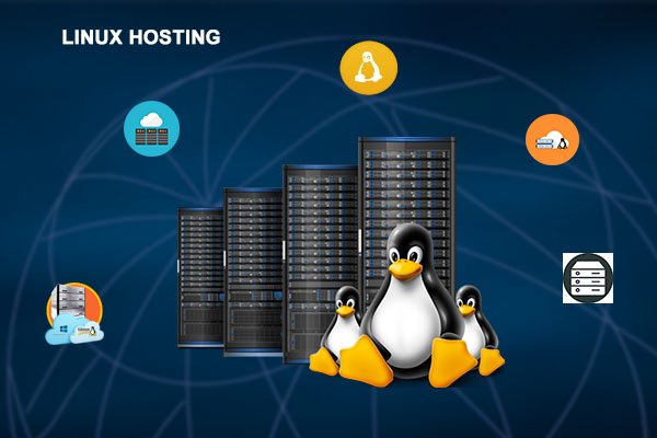 Linux Hosting Service